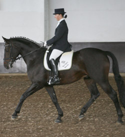Die 25-jährige Susanne Clasen gewann auf Lord Calypso (v. Laureat) die A- und L-Dressur in Stülow. Foto: Jutta Wego